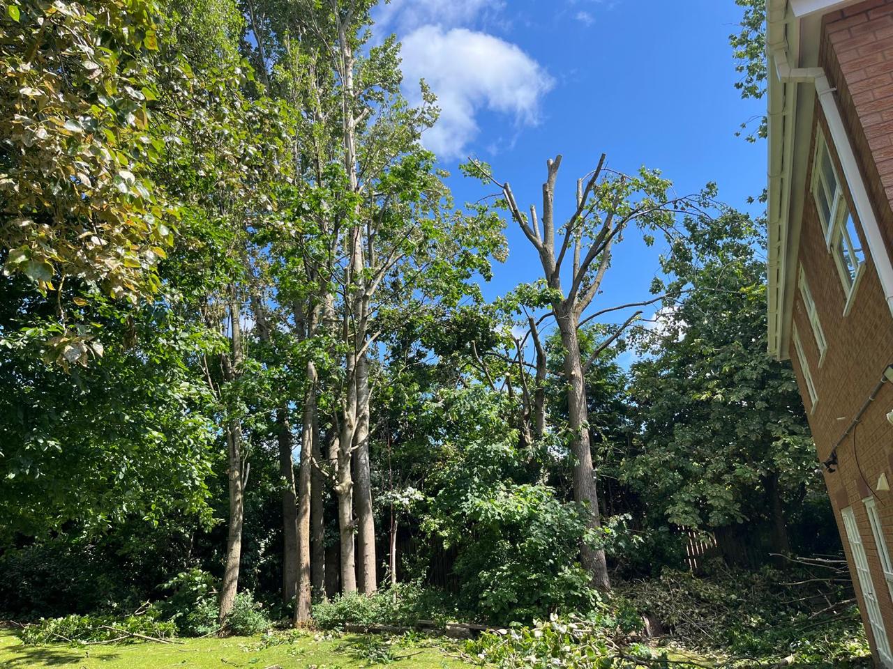 Emergency tree removal service in Wirral after storm damage